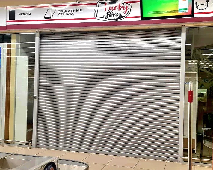 Роллетные ворота DoorHan в Рязани с установкой
