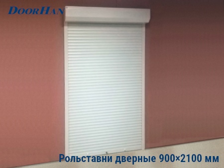 Рольставни на двери 900×2100 мм в Рязани от 31468 руб.